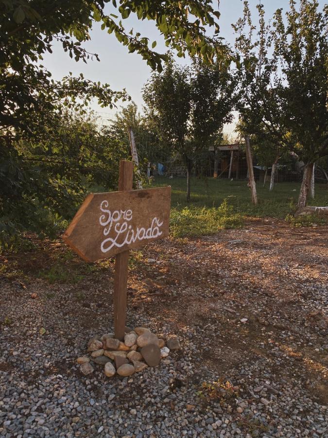 Pensiunea Aurelia Siria 외부 사진
